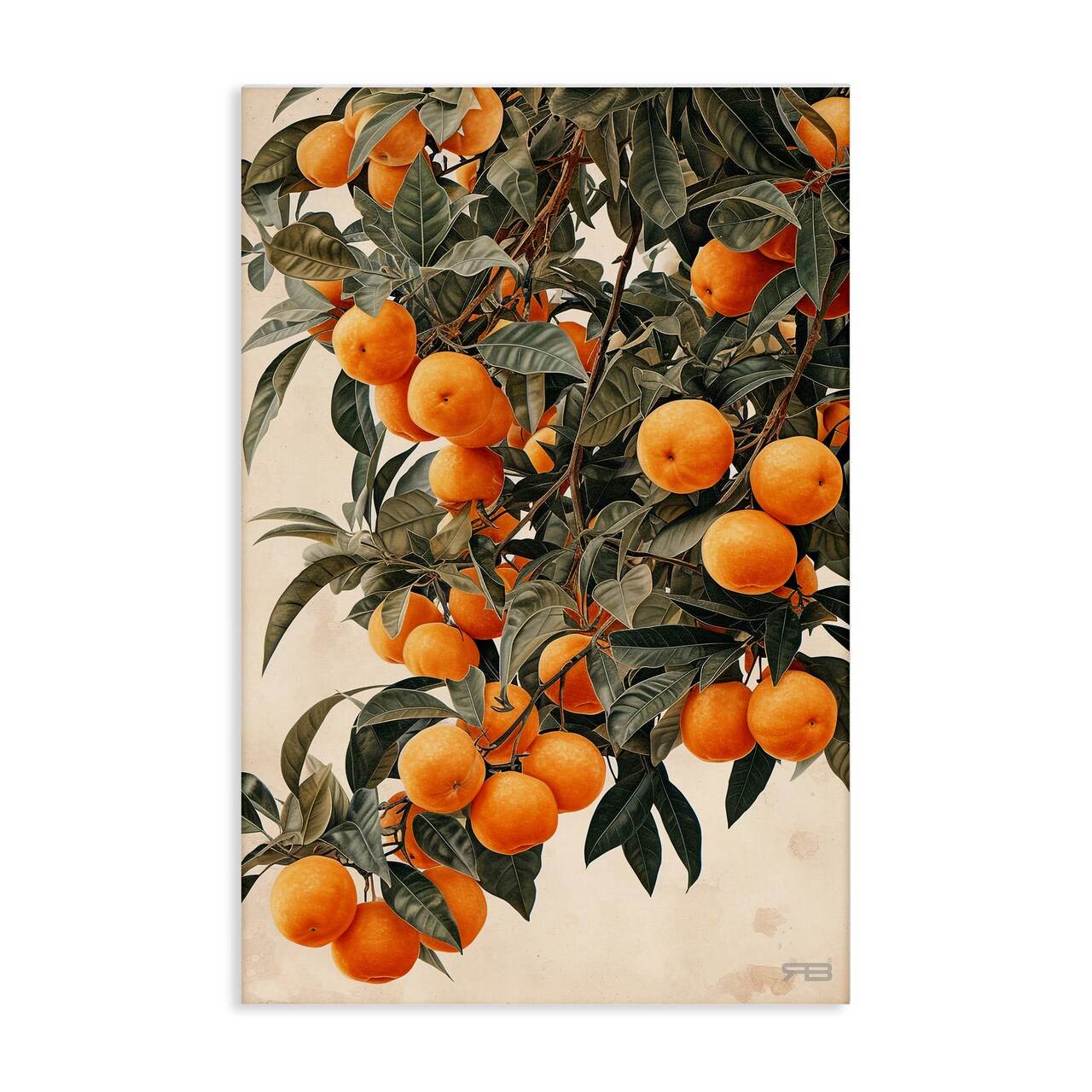 Stupell Industries Vibrant Orange Tree Blooms Canvas Wall Art Design by RB